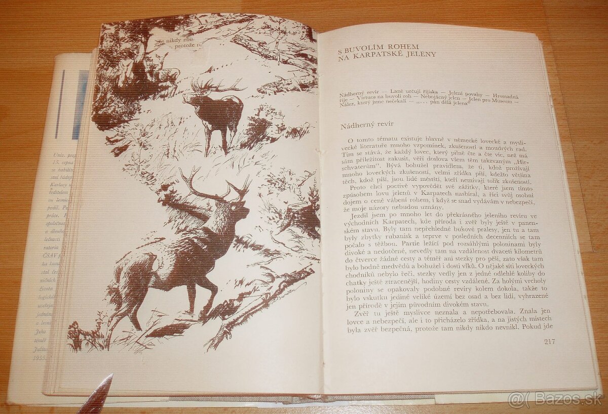 Lovy v Karpatech - 17