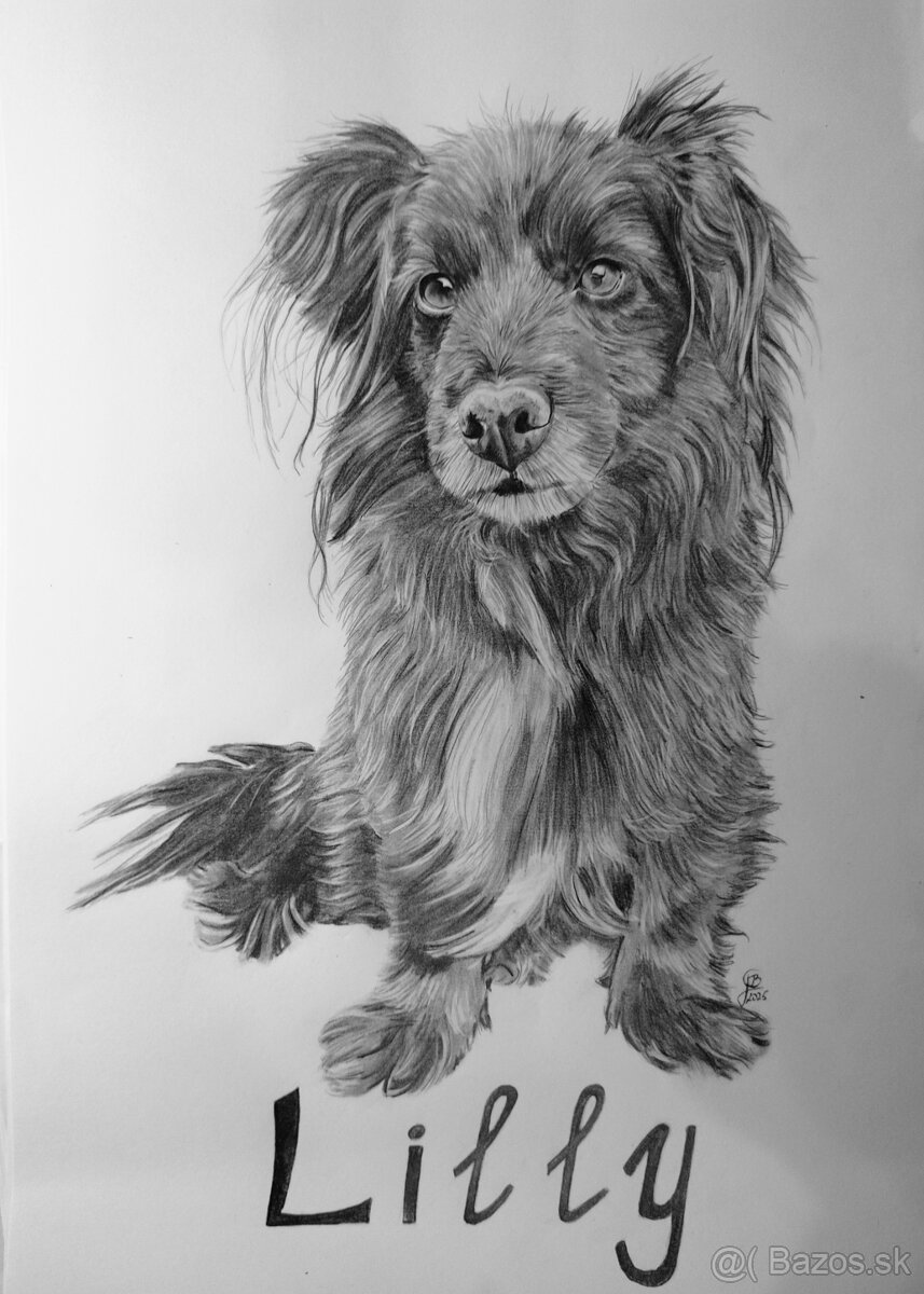 Kreslenie portrétov - 17