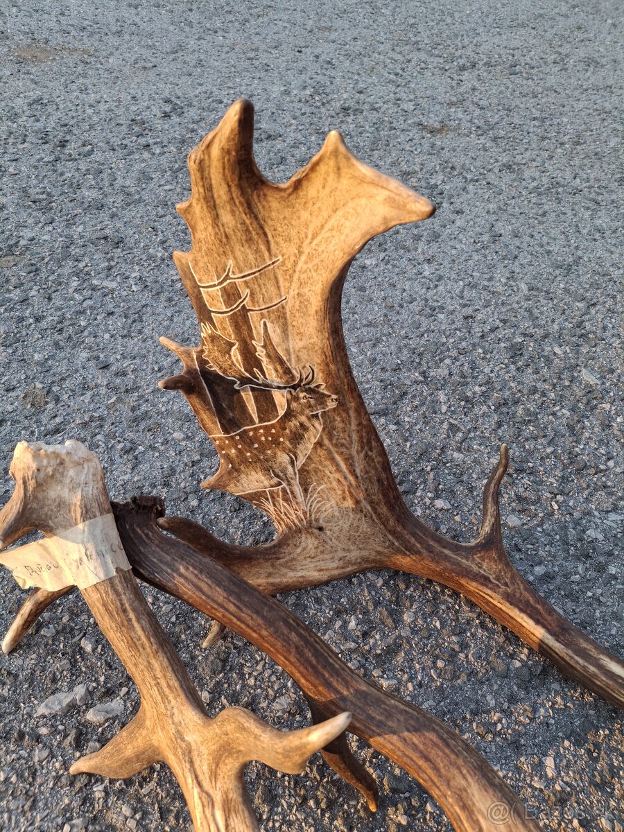 Parohy,zhody,trofeje - 17