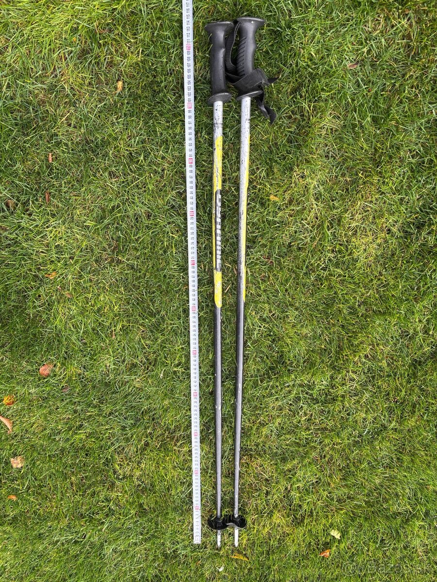 Lyže, palice, bicykle, nosič - 17