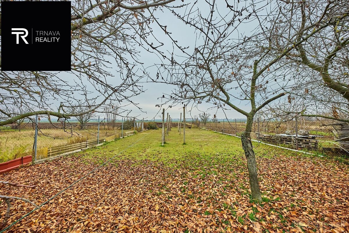 TRNAVA REALITY -Na predaj: Rodinný dom pokojnej obci Cífer, - 17