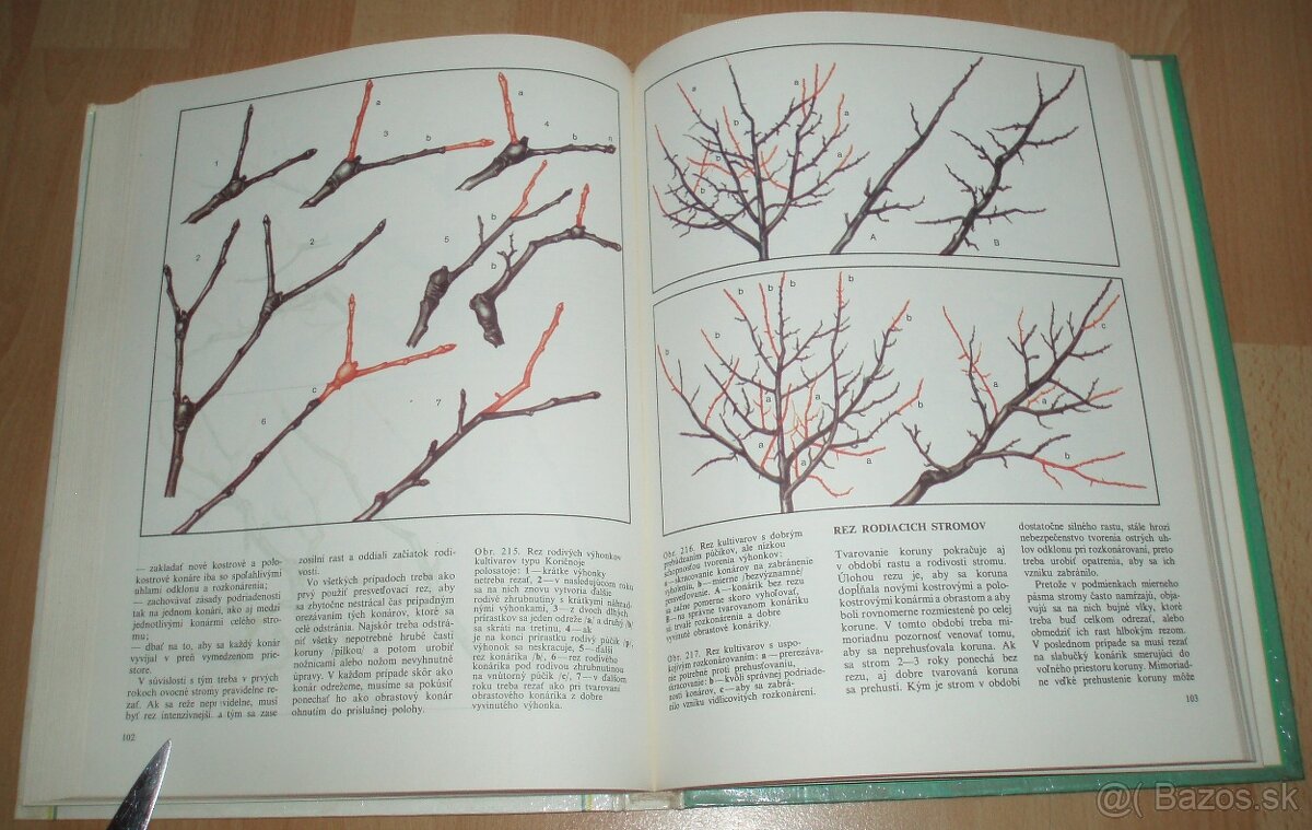 Tvarovanie a rez ovocných drevín - 17