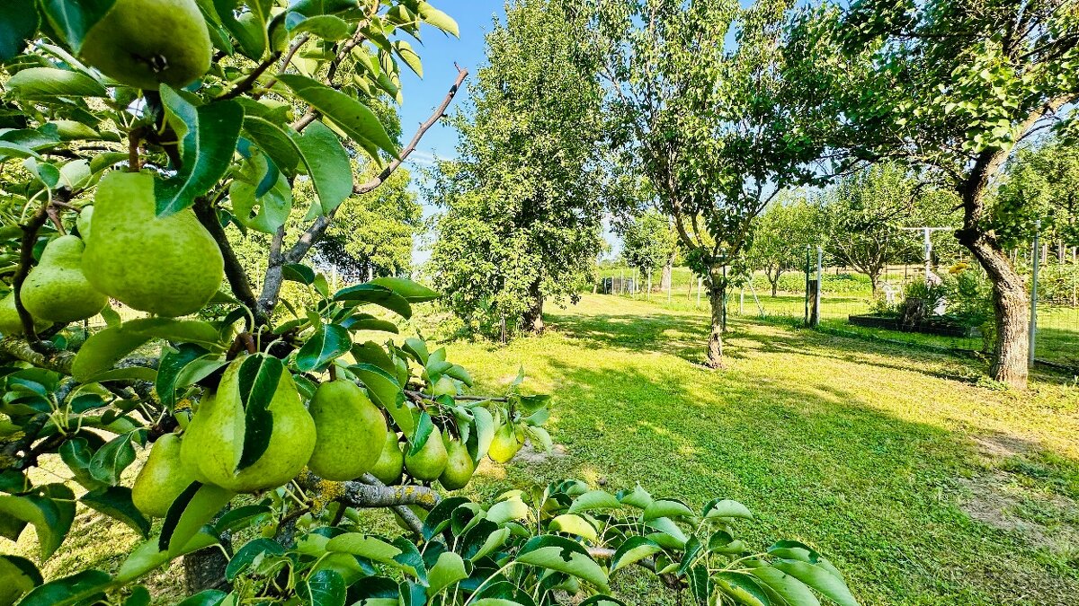 PREDANÝ Rodinný dom Vyšný Lanec - časť obce Perín - 17