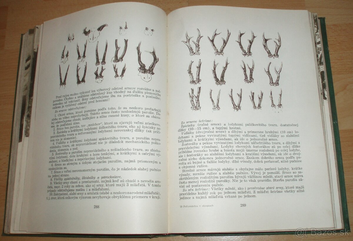 Poľovníctvo v obrazoch - 17