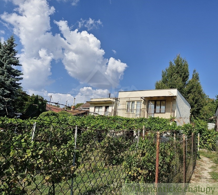 Viničný domček so záhradou v Leviciach - 17