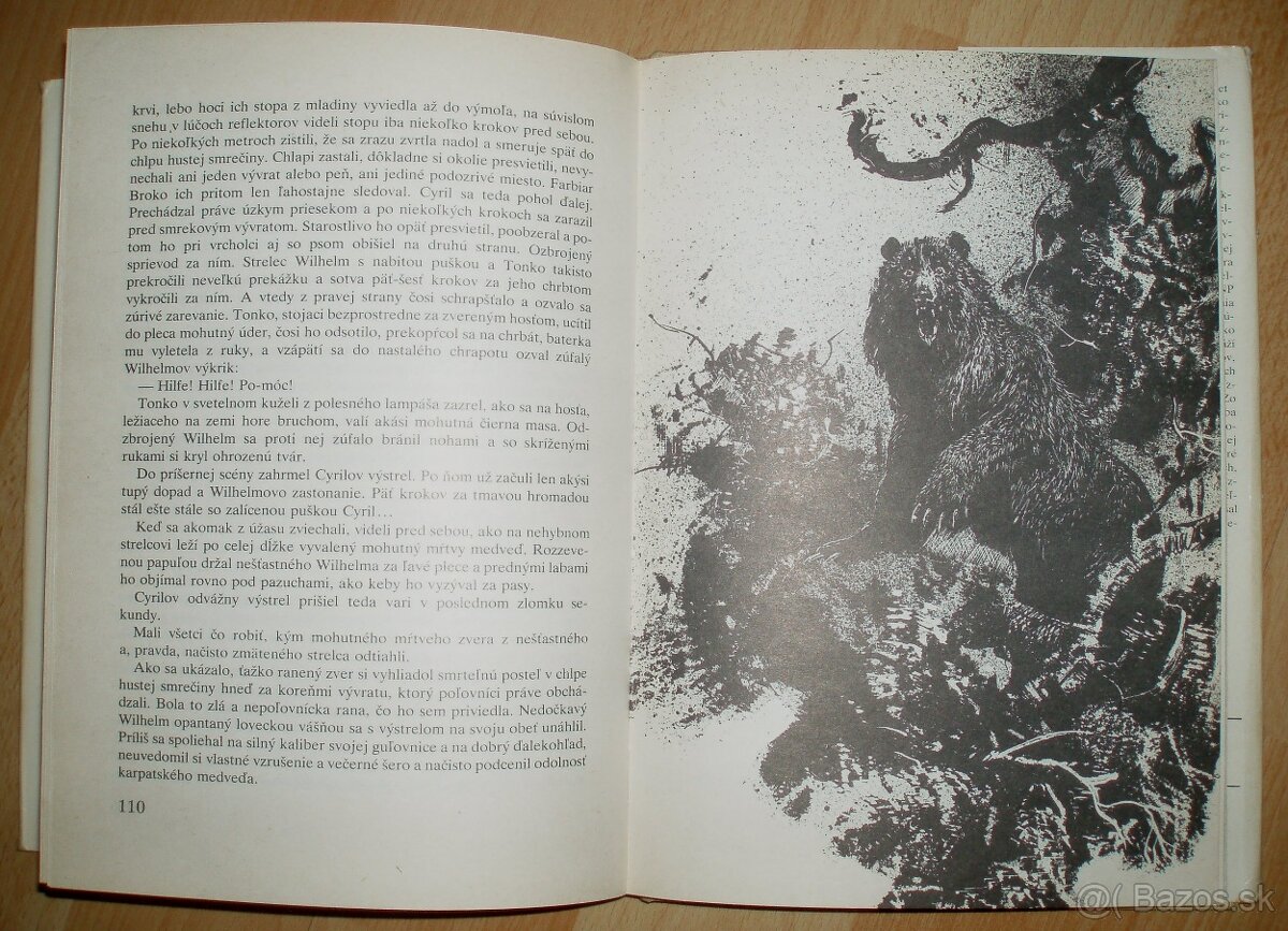 Trofej neznámeho strelca - 17