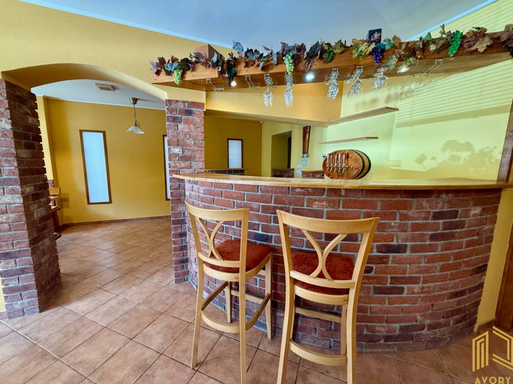 RODINNÝ DOM s DVOMI BYTMI a VINÁRŇOU, SOBOTIŠTE - 17