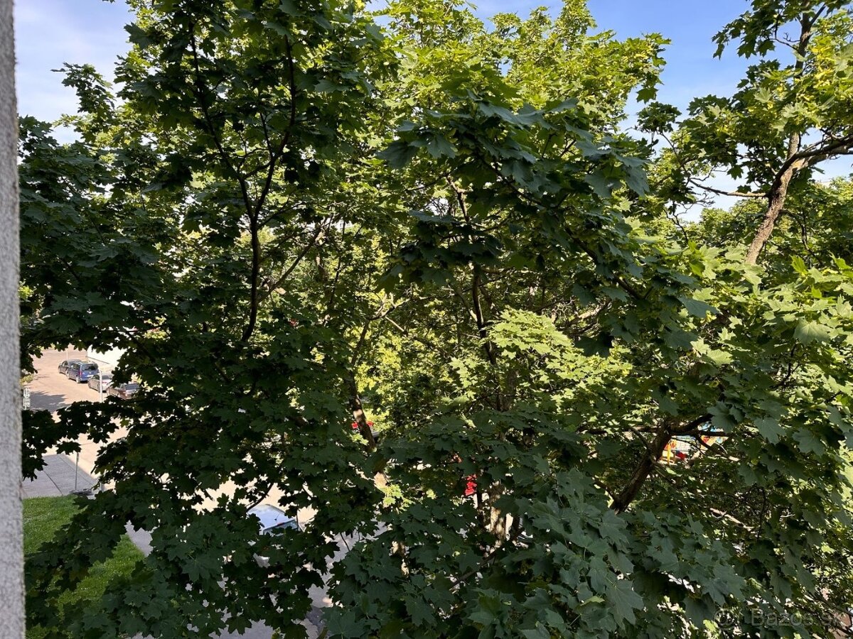 Priestranný 4 izbový byt s balkónom - Rezedová - 17