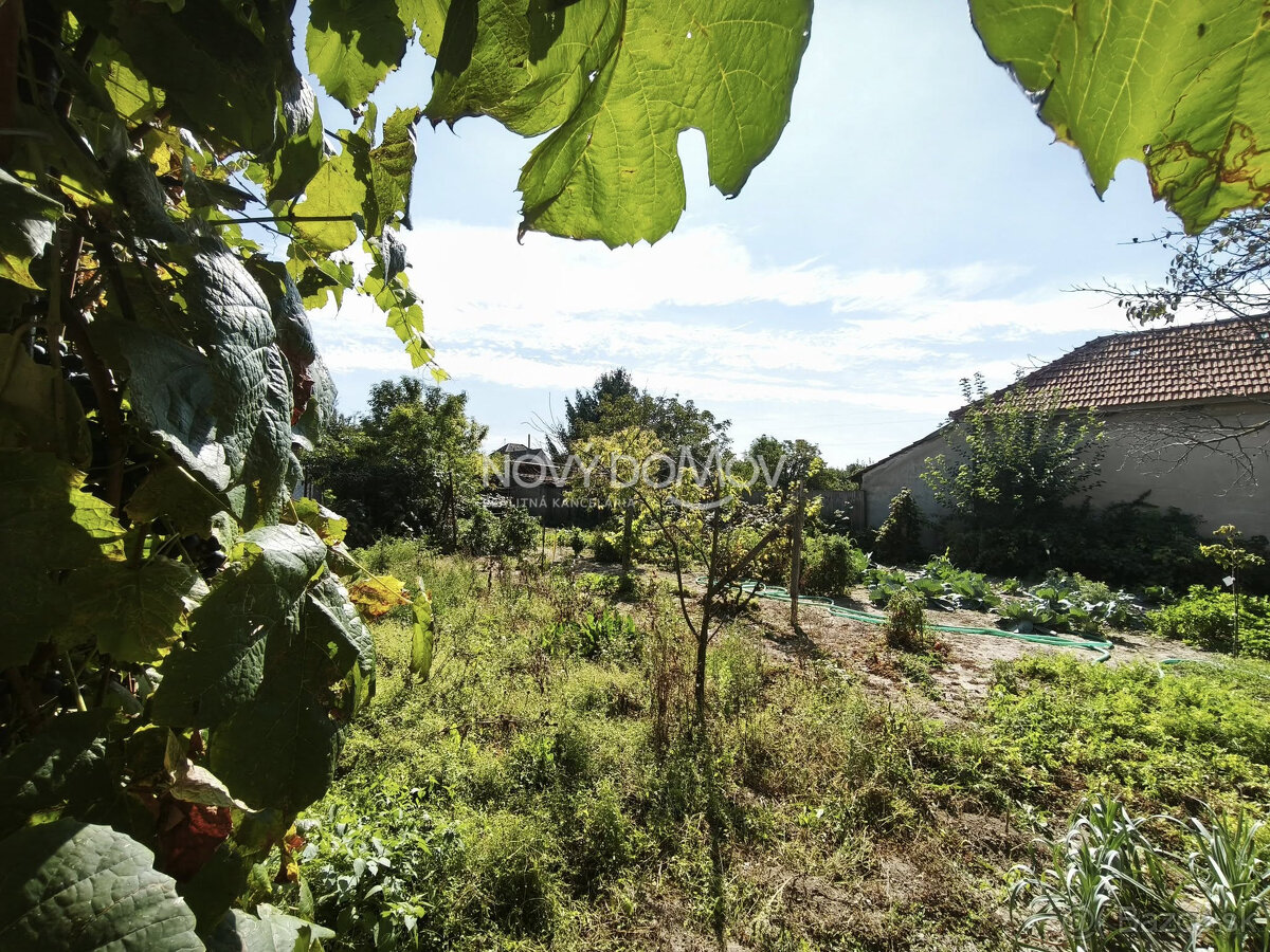 PREDAJ – starší rodinný dom na veľkom pozemku 758 m², Váhovc - 17