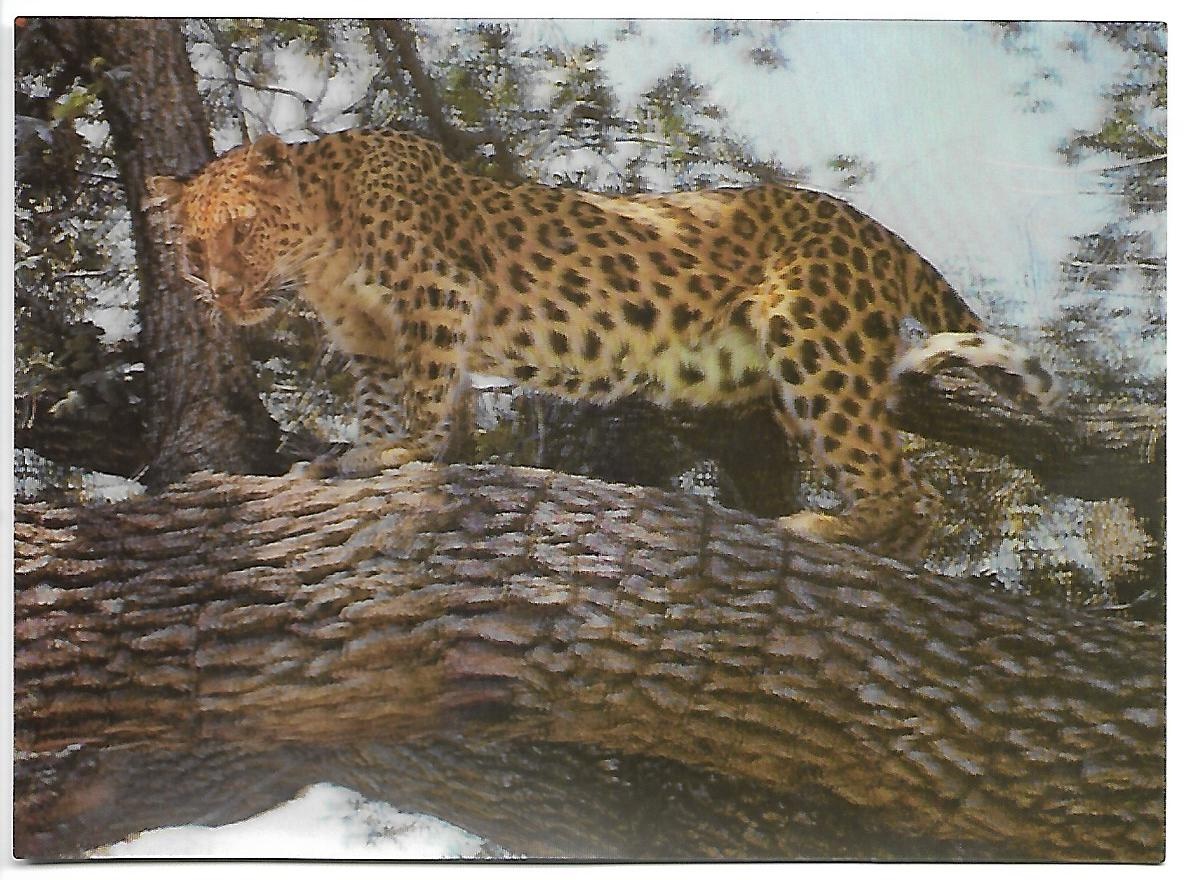 3D pohľadnice (61-80 ), čisté v top stave, 1 ks za 1 € - 17