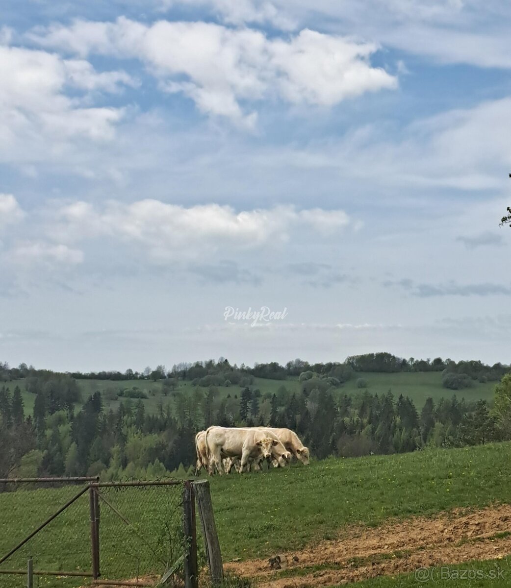 Pinky Real – Chata, do ktorej sa zamilujete - 17