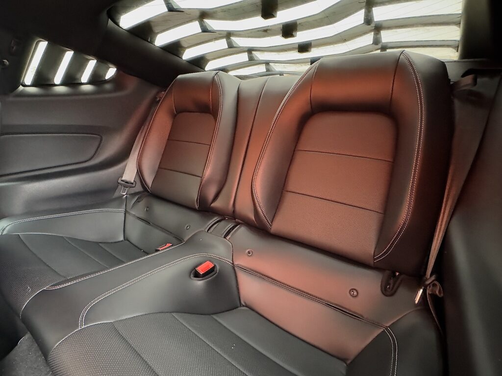 Ford Mustang 2,3l Shelby dizajn 2020 - 17