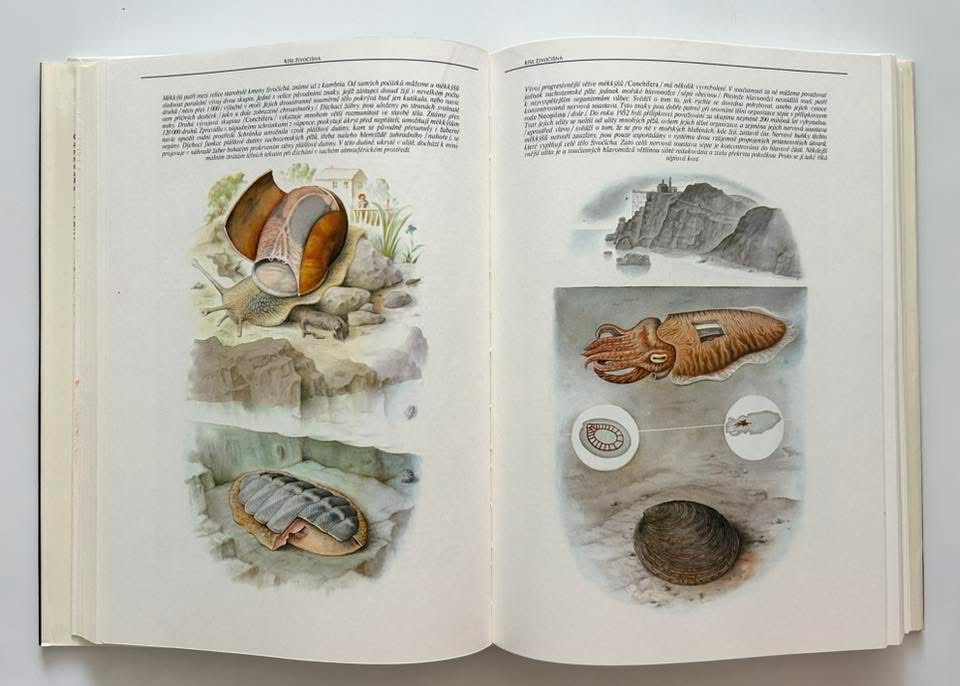 Nádherná séria encyklopédií - 17