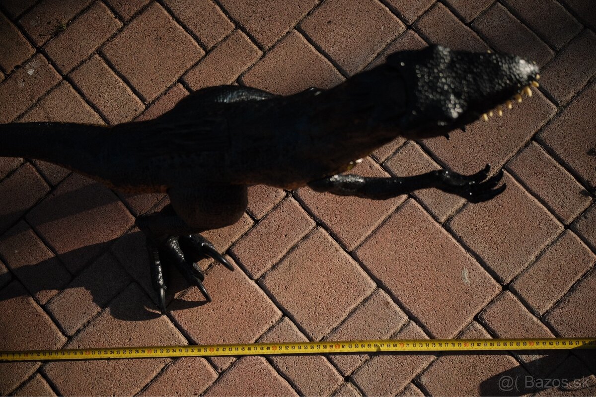 Velke dinosaury (50-80cm) (trex, brontosaurus a pod) - 17