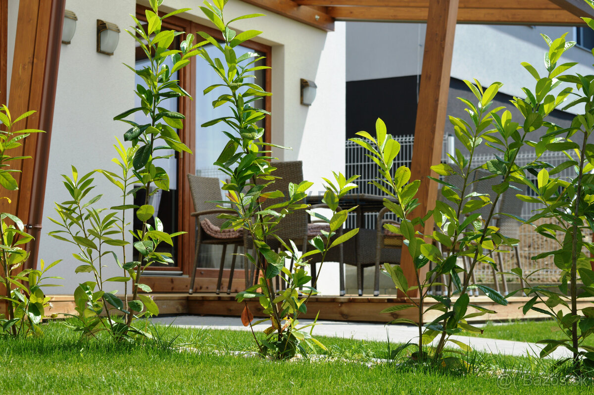 POSLEDNÝ VOĽNÝ DOM - Rodinný dom na prenájom v Porube - 17