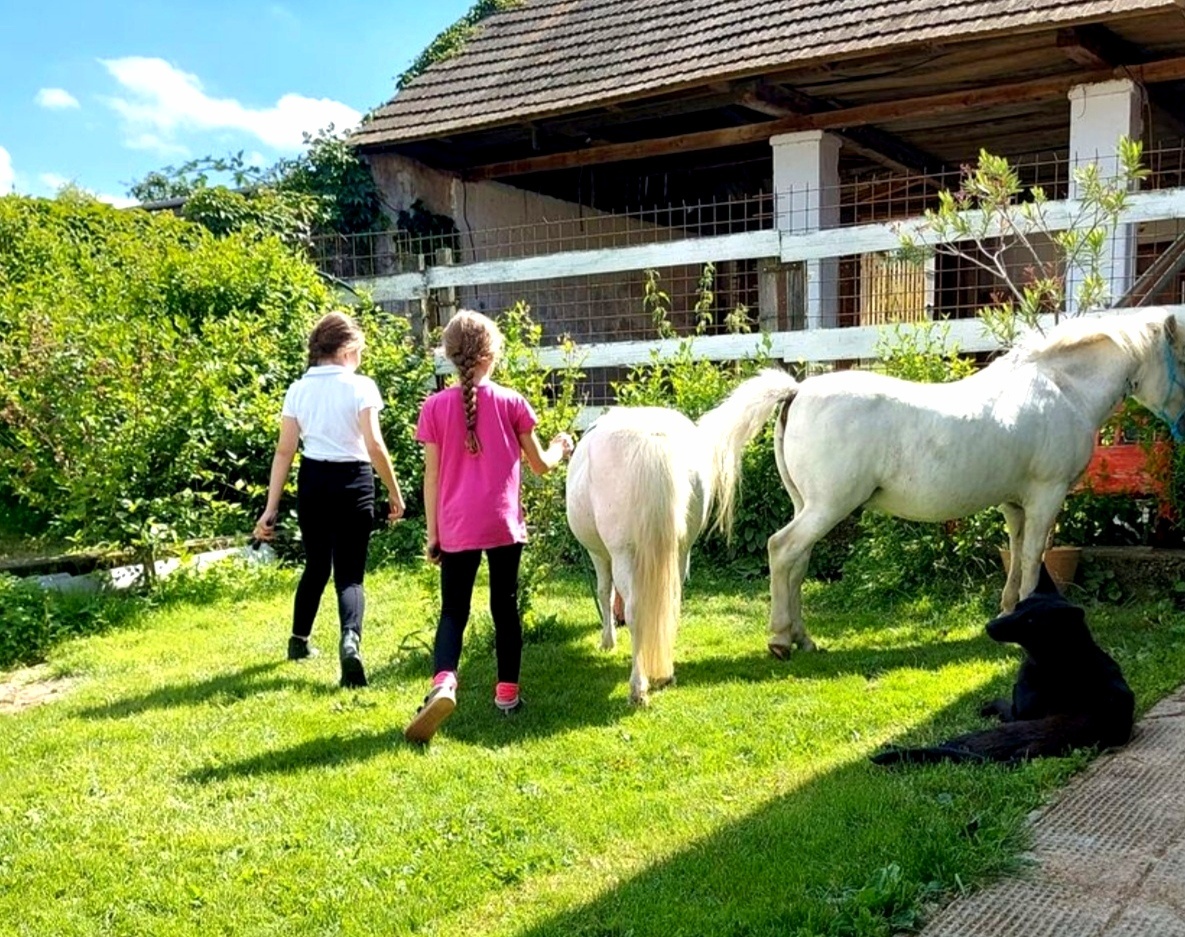 Na predaj zaujímavá nehnuteľnosť v - 17