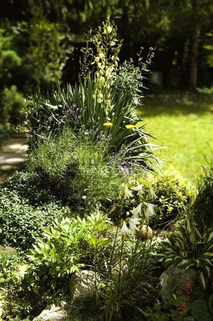 Rekreačná chata so sup.č. na pozemku 8á, Šoporňa - 17