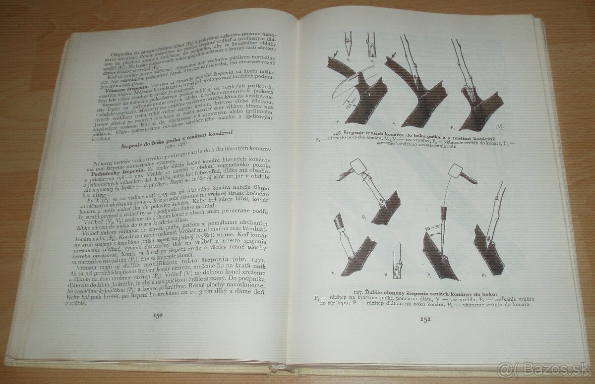 Štepenie, očkovanie a preštepovanie drevín - 17