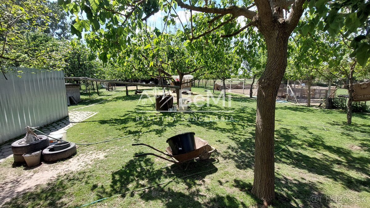 Fotografia 17