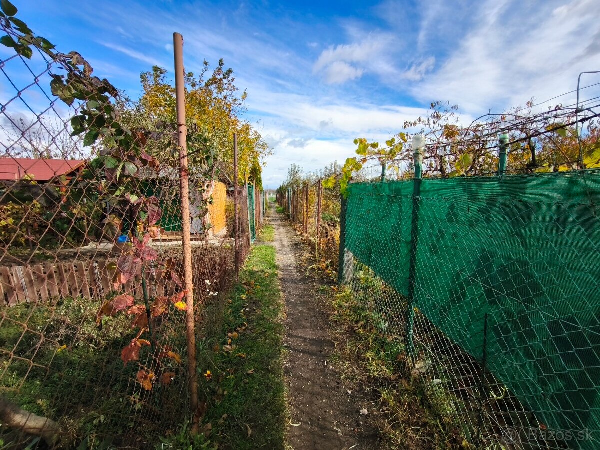 Udržiavaná záhrada so studňou a chatkou - 17