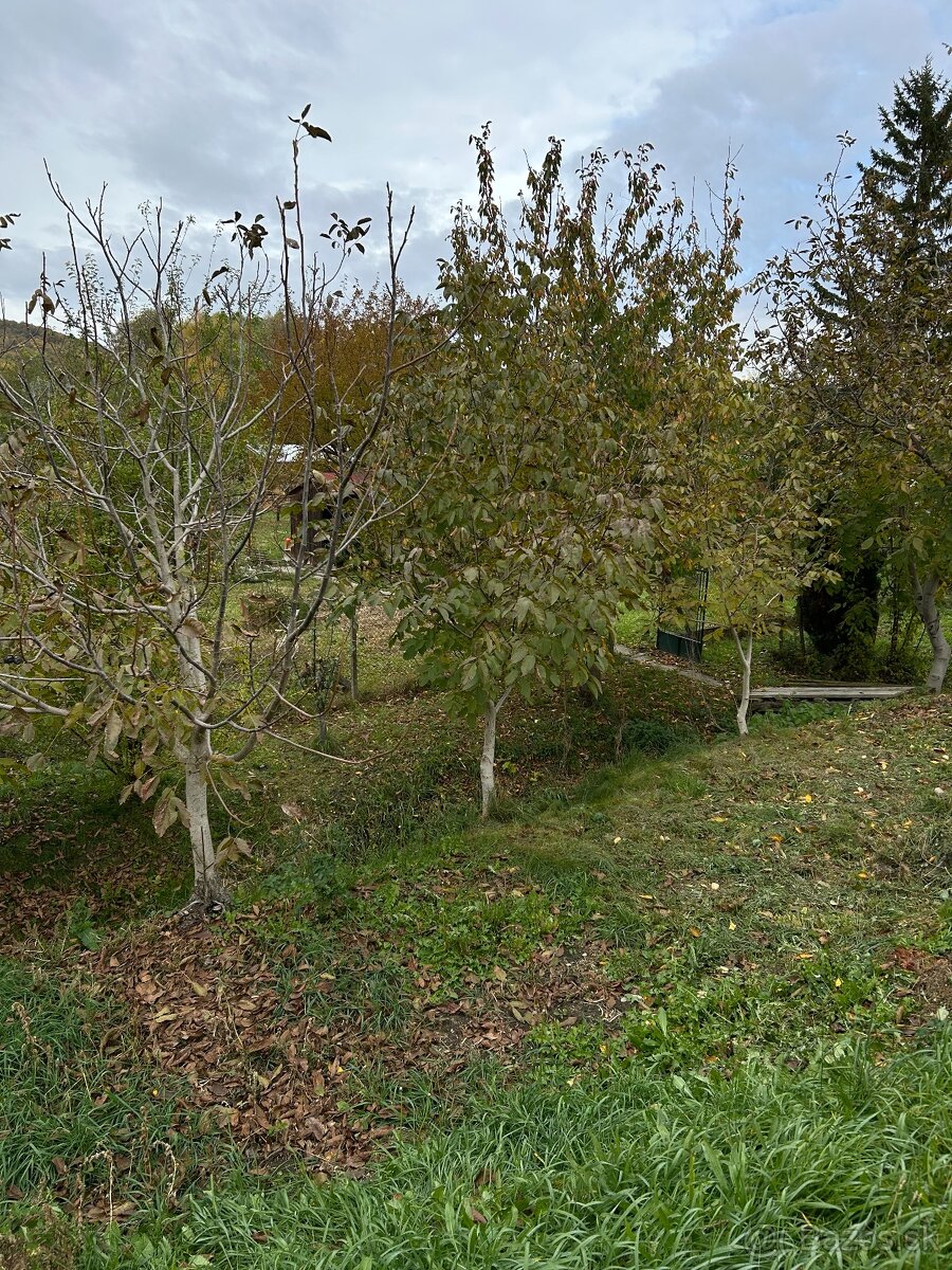 Záhrada vo Svätom Jure - 17