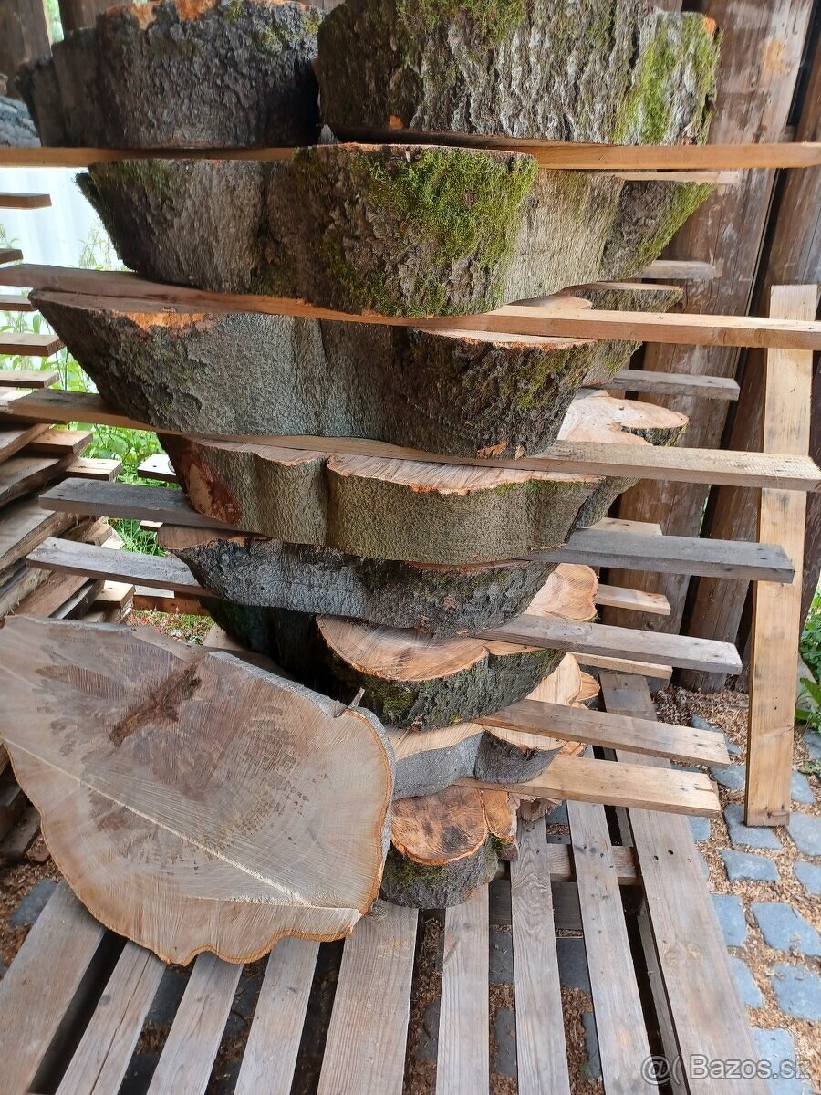 Suché koláče z Habra a Buka - 17