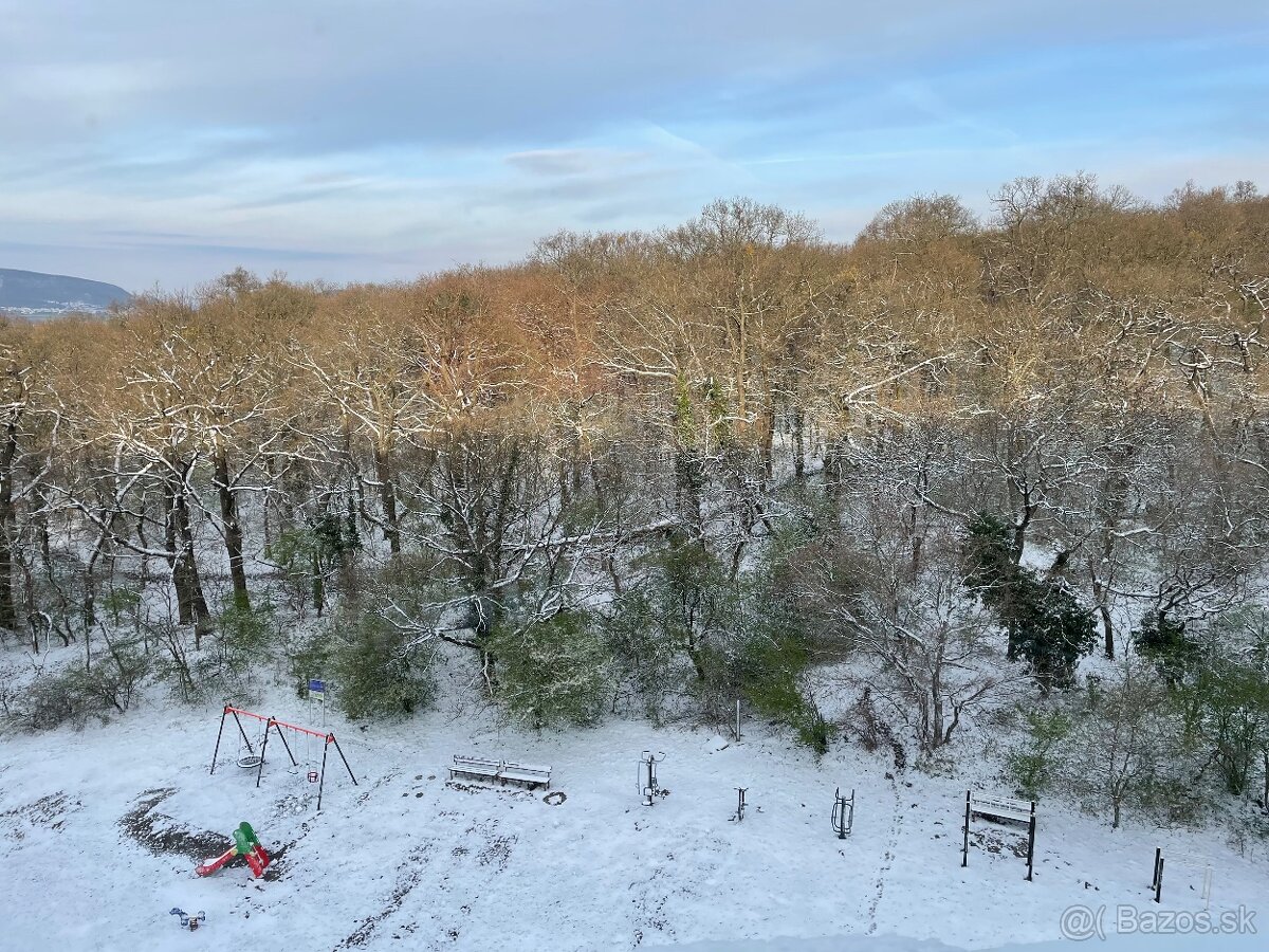 2-izbový byt po kompletnej rekonštrukcii | Veternicová - 17
