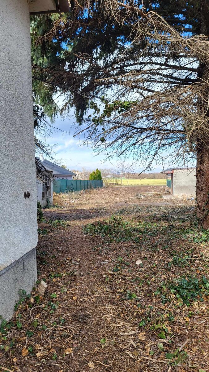 Na predaj Rd Ivanka pri Nitre Investičné - 17