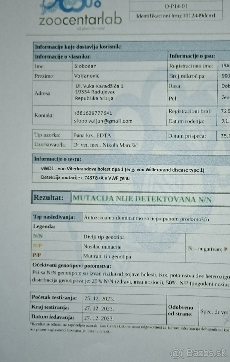 DOBERMAN ŠTENIATKA FCI P.P. - 17