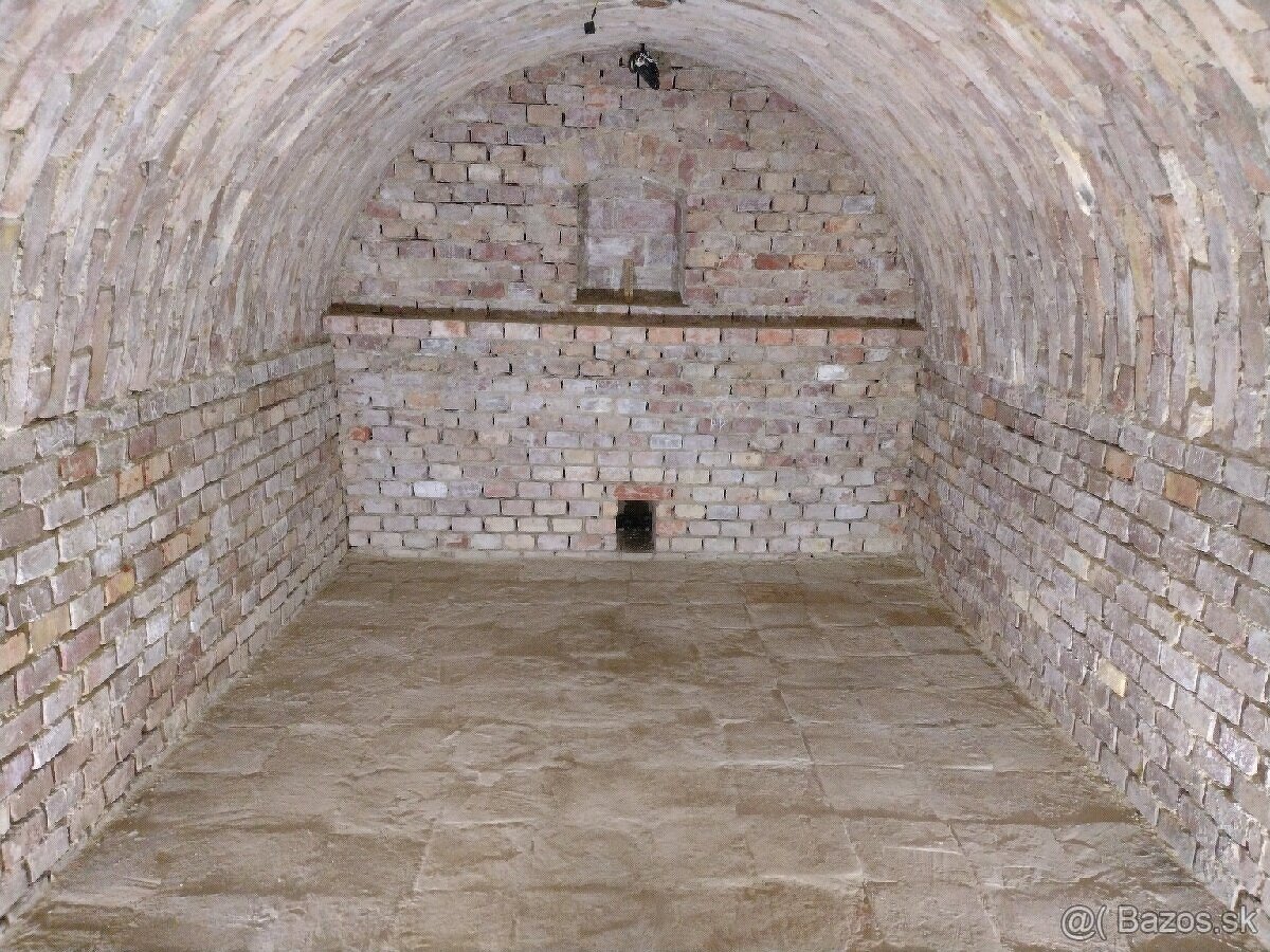 PREDÁM ZÁHRADKU S CHATOU V HOLÍČI. - 17