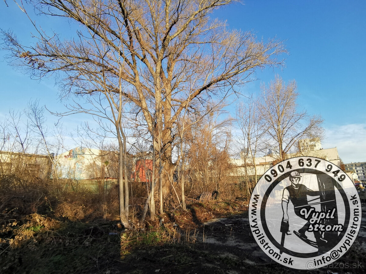 Pilenie a orezavanie stromov, kosenie a udrzba zahrad - 17