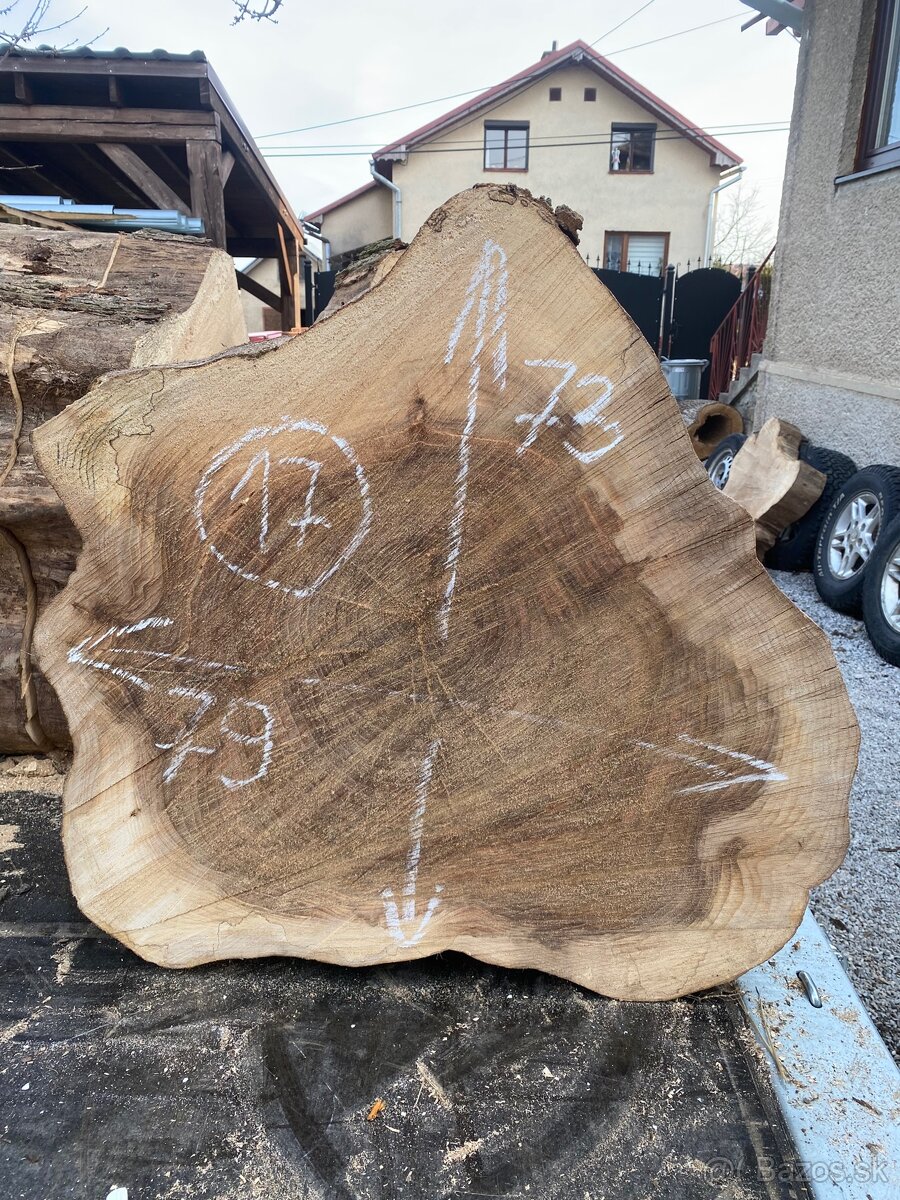 Brest priečny rez,kolač - 17