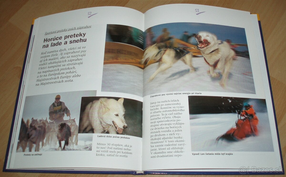 Záprahové psy - 17