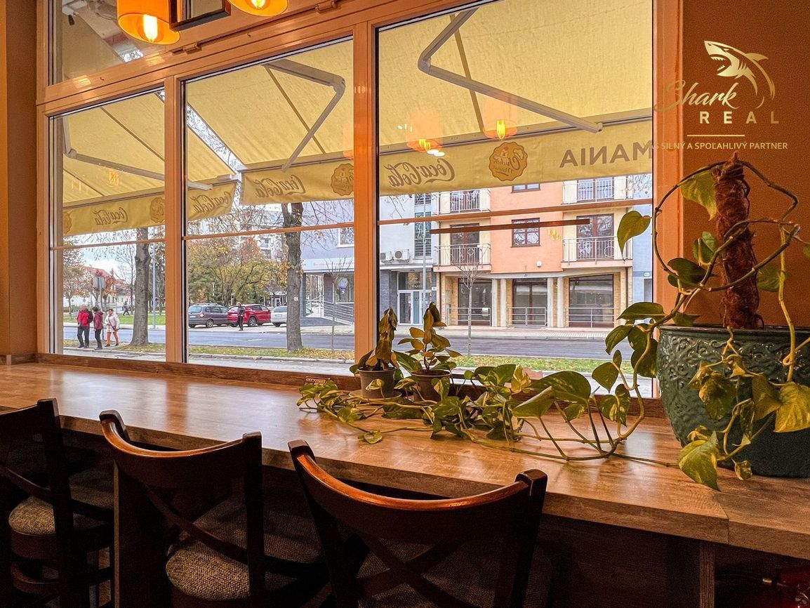 Rozbehnutý biznis v srdci Piešťan hľadá nového majiteľa - 17