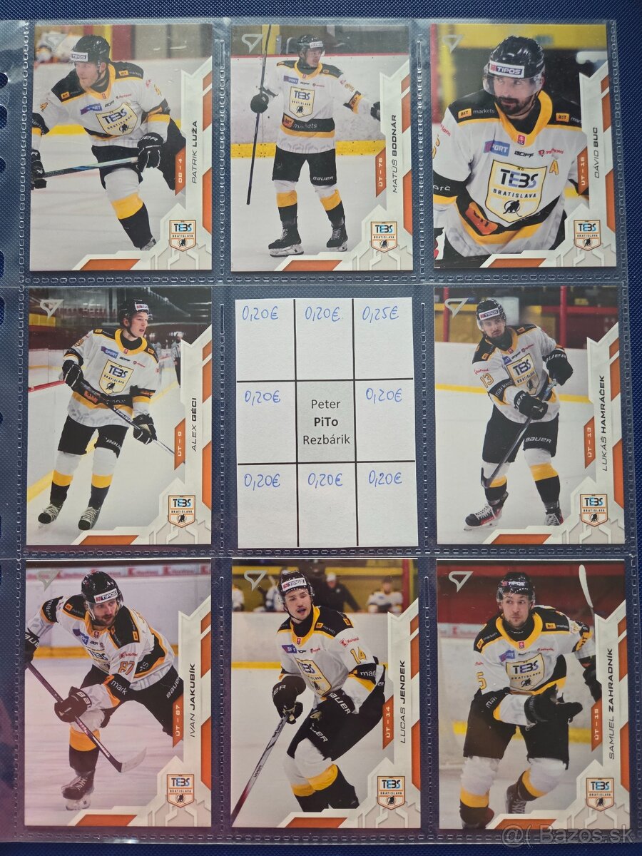 SHL - Dubnica, PB, Humenne, Bratislava - 17