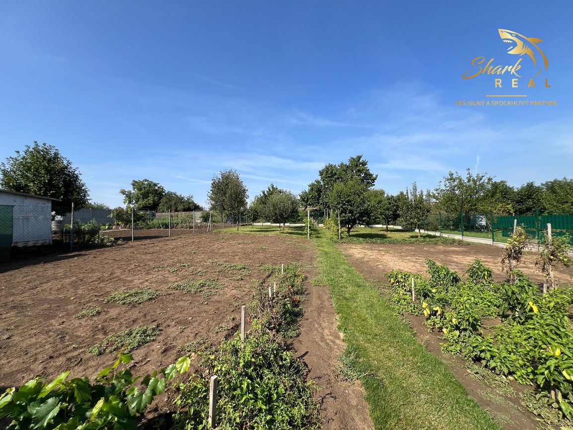 Presvetlený 4 izbový rodinný dom s garážou - 17