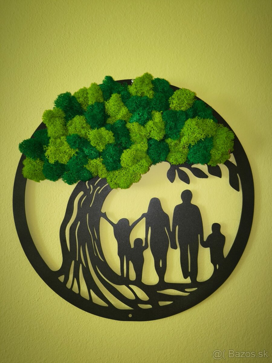 Machové obrazy - 17