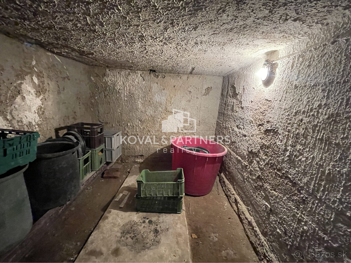 Chatka so záhradou a vinicou - Vráble v časti Horný Dúšnik - 17