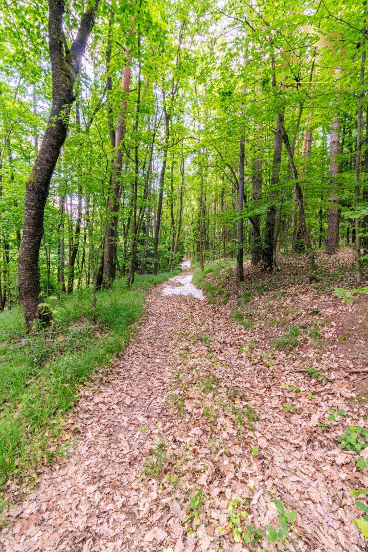 Pozemok v lone prírody s potôčikom– ideálny pre vašu vysníva - 17