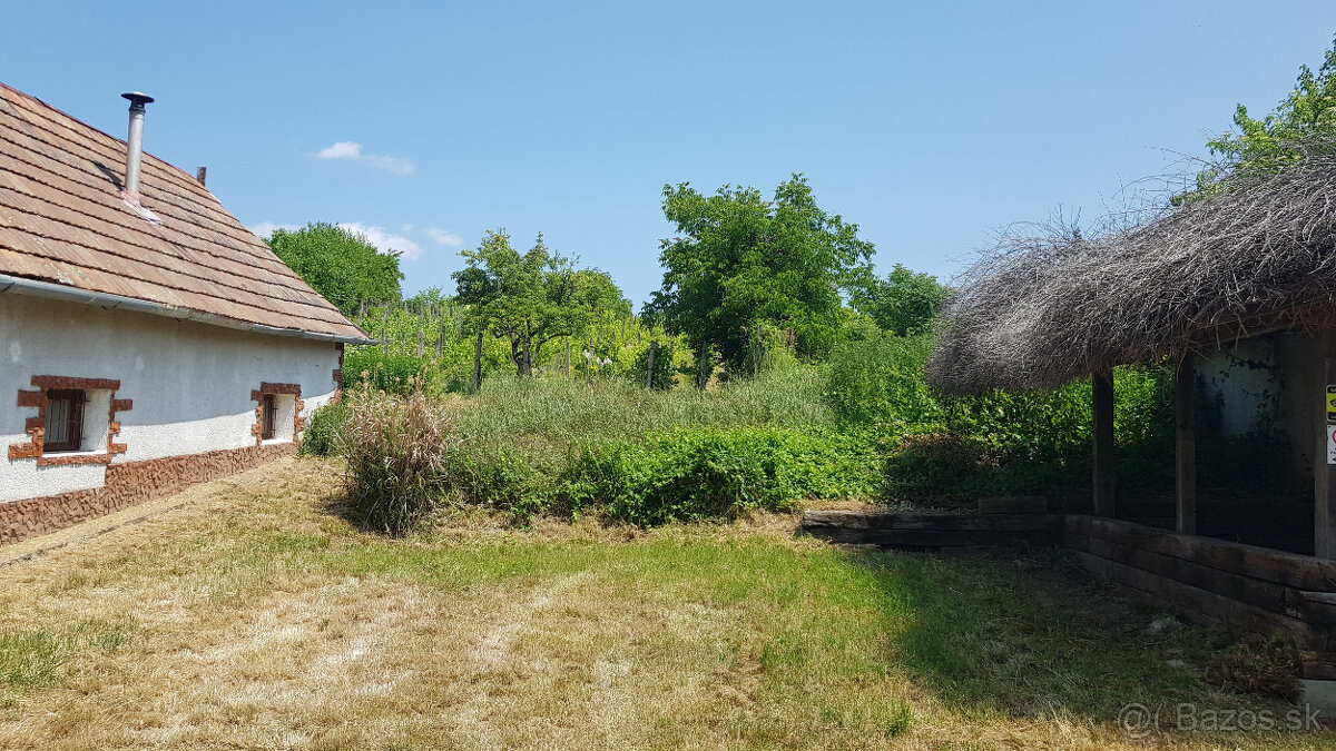 Predám dva vinohradnícke domy s pozemkami medzi vinohradmi p - 17