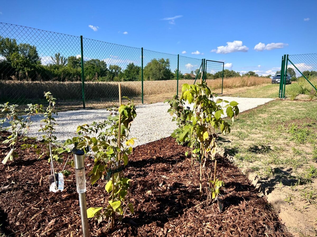 Záhrada na predaj v Nových Zámkoch. - 17