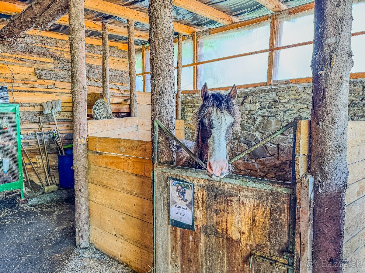 Usedlost na venkově - 17