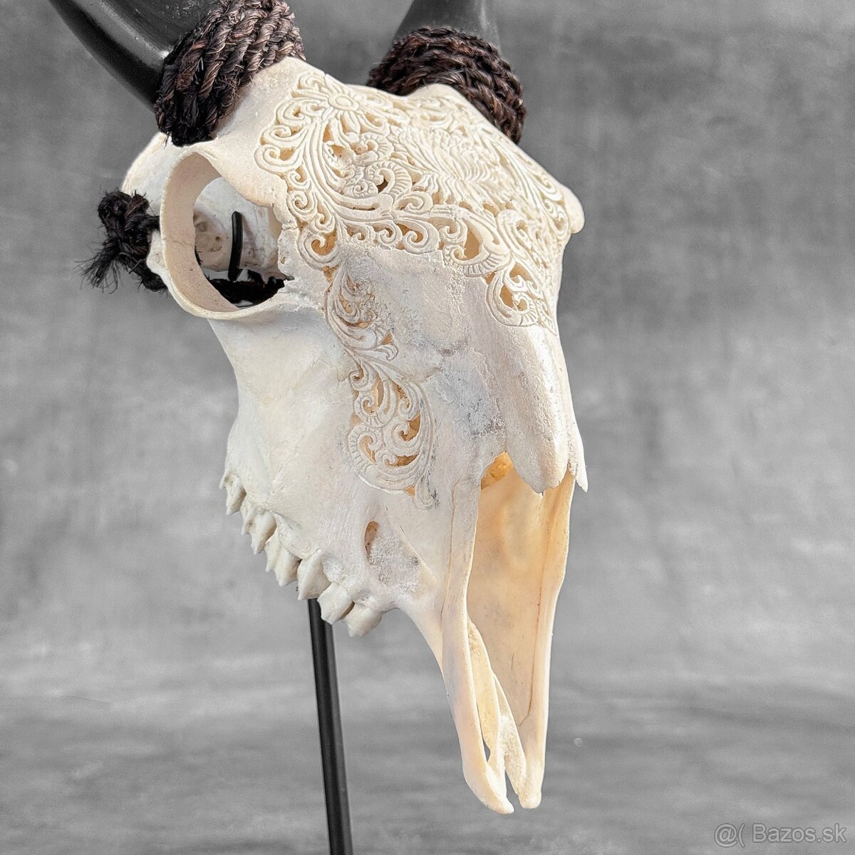 Autentická biela vyrezávaná lebka kozy - motív veľký lotos - 17