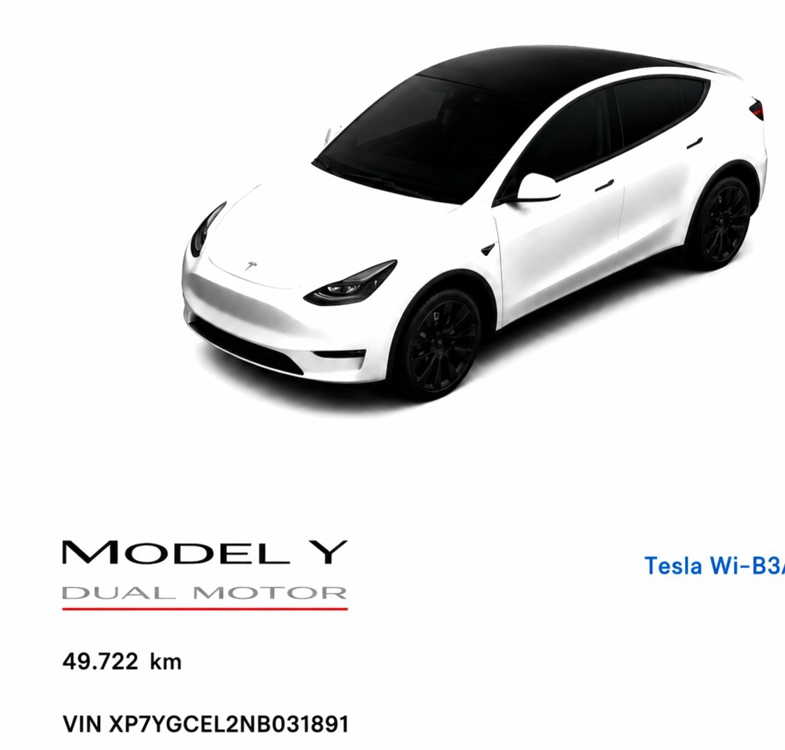 Tesla Model Y Performance Dual Motor Long Range 75kWh - 17