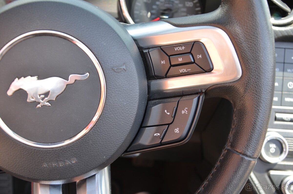 Ford Mustang 3.7 V6 Cabrio, 224kw, M6 - 17