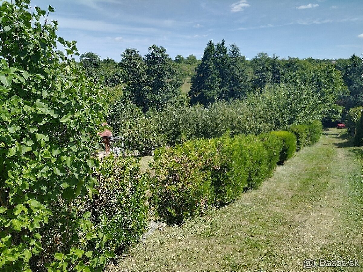 Záhradka s chatou Darmovise - 17