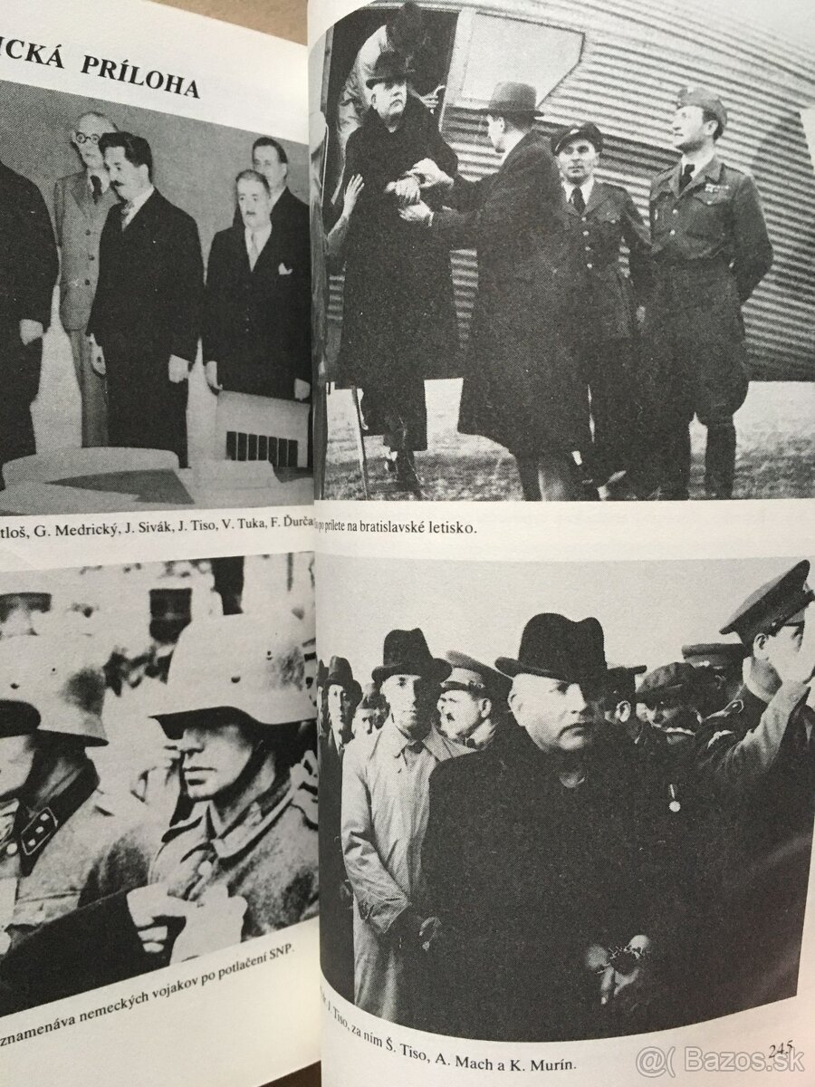 Ilustrované dejiny sveta, Sofiin svet, Praveké umenie na Slo - 17