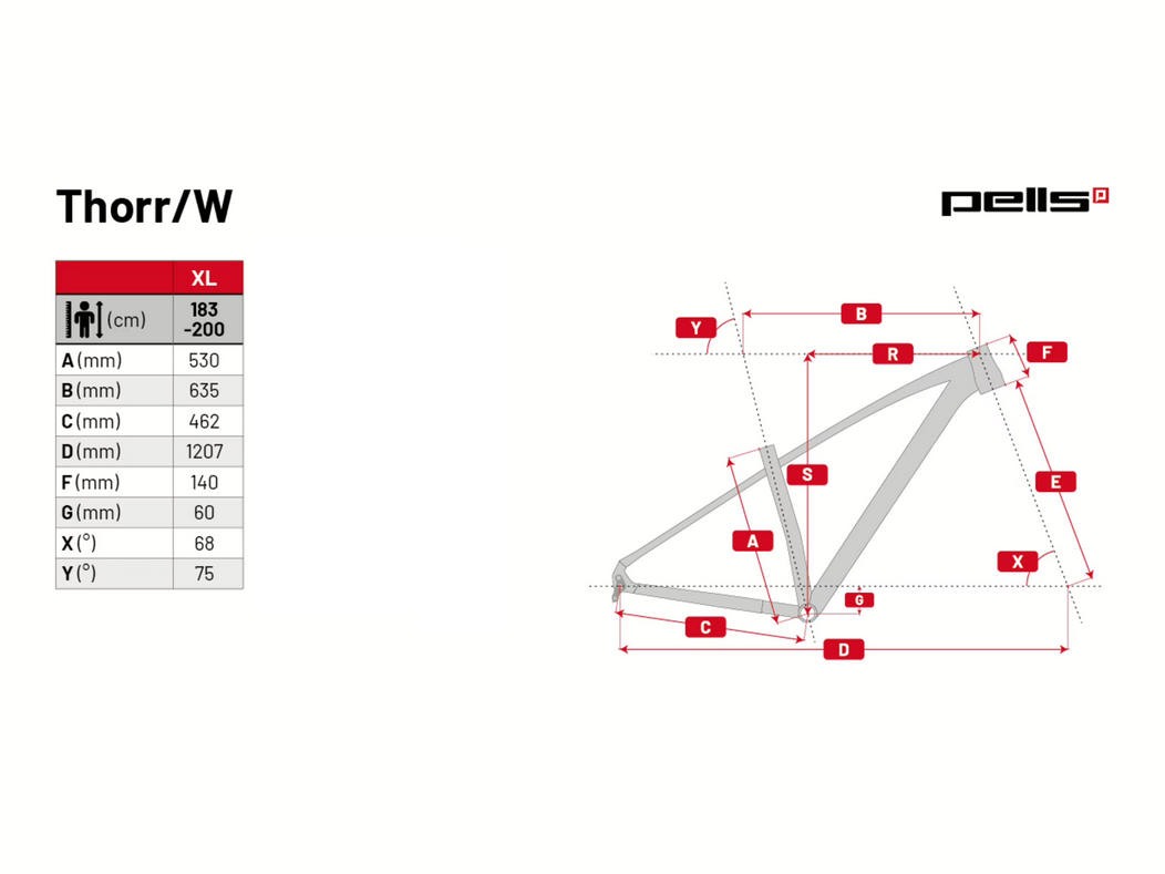 Elektrický bicykel PELLS Thorr 3 Grey XL - 17