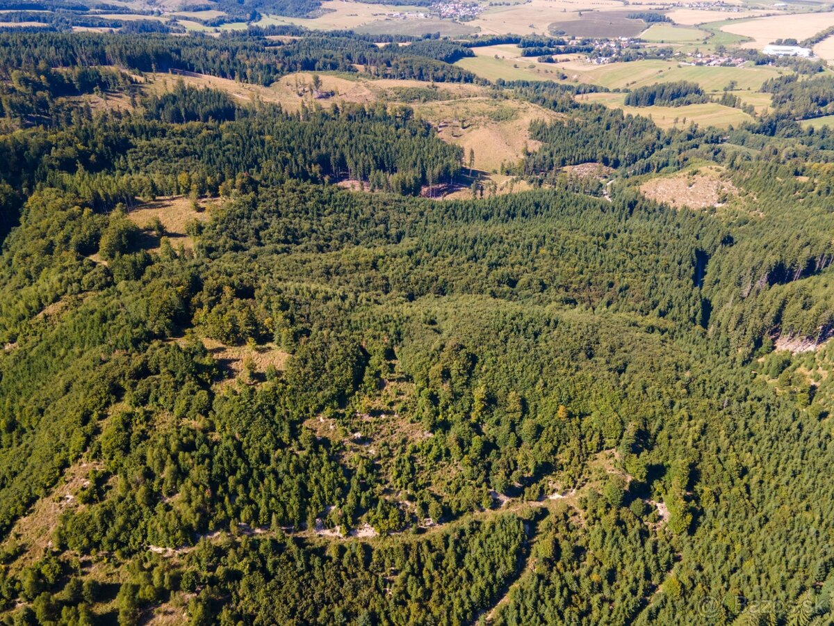 HOSPODÁRSKY LES V OBCI BUDIŠ V OKRESE TURČIANSKE TEPLICE - 17