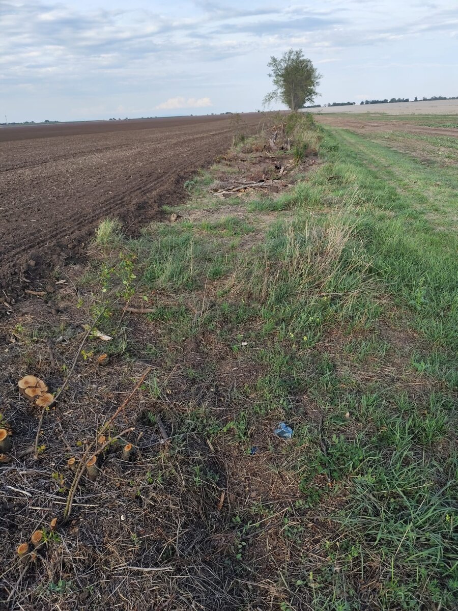 ♻️Čistenie pozemkov, kosenie, mulčovanie.♻️ - 17